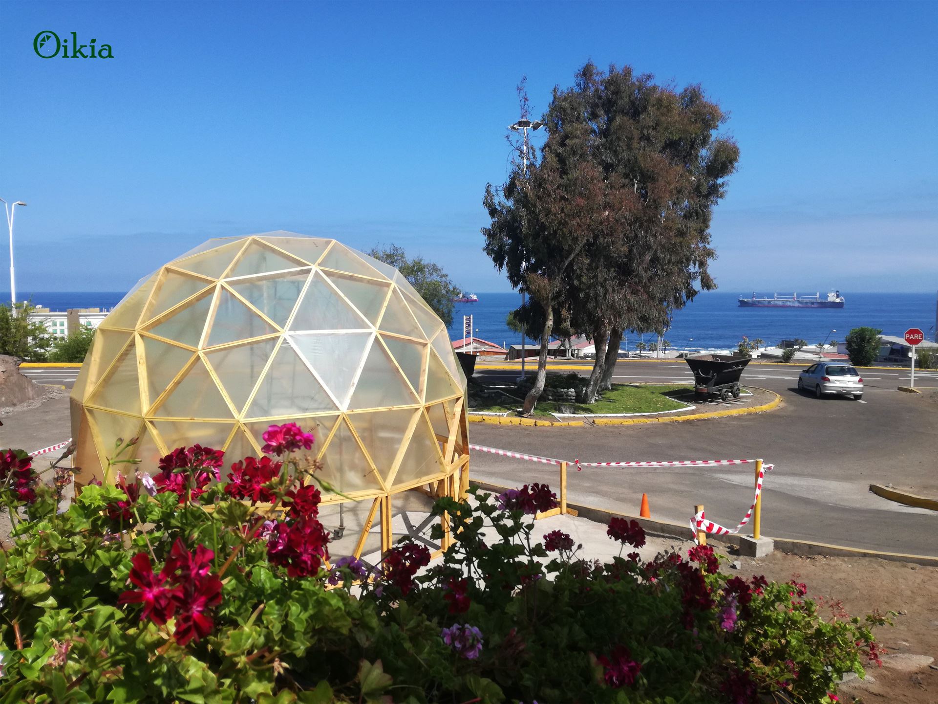 Catholic University of the North Greenhouse Dome