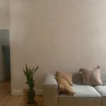 Limewash